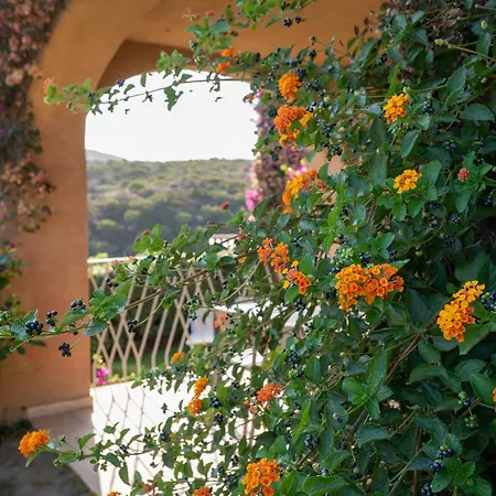 Sherden - Your House In Sardinia *